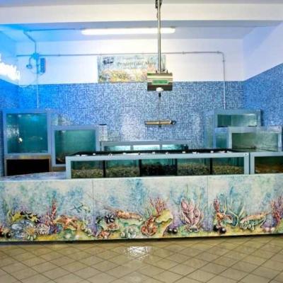 Atlantis Boat Deruta - Acuarios y Viveros de marisco Tecnomar?>