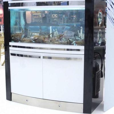 Mercury Boat - Acuarios y Viveros de marisco Tecnomar?>