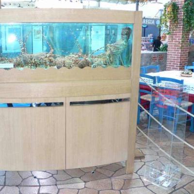 Mercury Boat - Acuarios y Viveros de marisco Tecnomar?>