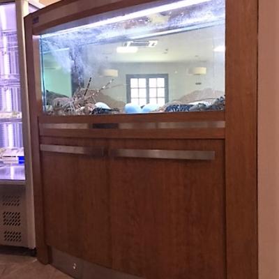 Mercury Boat - Acuarios y Viveros de marisco Tecnomar?>