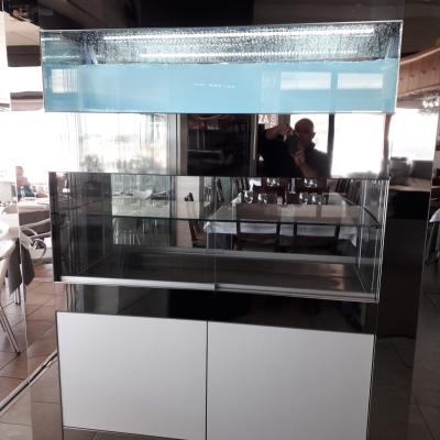 Murena - Acuarios y Viveros de marisco Tecnomar?>