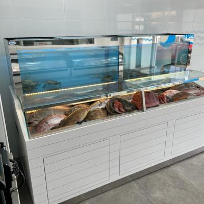 Revolution Comby - Acuarios y Viveros de marisco Tecnomar?>