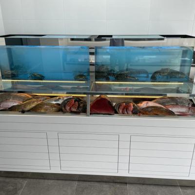 Revolution Comby - Acuarios y Viveros de marisco Tecnomar?>