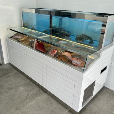 Revolution Comby - Acuarios y Viveros de marisco Tecnomar?>