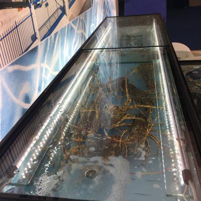 Revolution Inox - Acuarios y Viveros de marisco Tecnomar?>