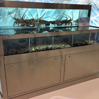 Revolution Inox - Acuarios y Viveros de marisco Tecnomar?>