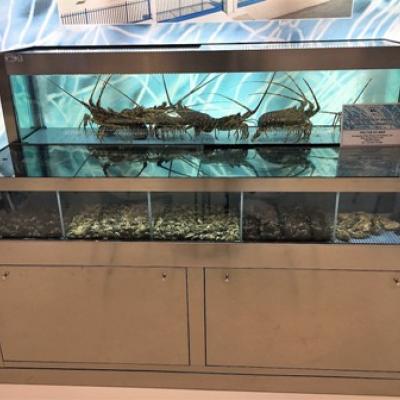 Revolution Inox - Acuarios y Viveros de marisco Tecnomar?>