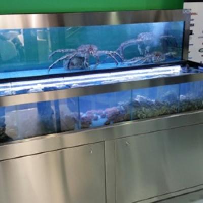 Revolution Inox - Acuarios y Viveros de marisco Tecnomar?>