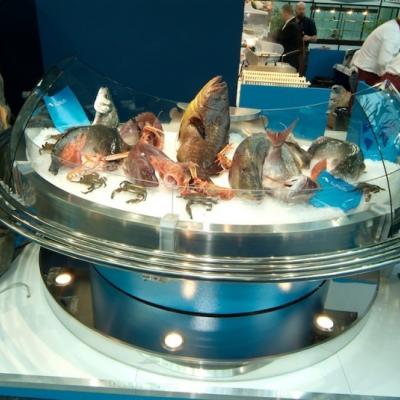 Deluxe 180� Fish Display - Acuarios y Viveros de marisco Tecnomar?>