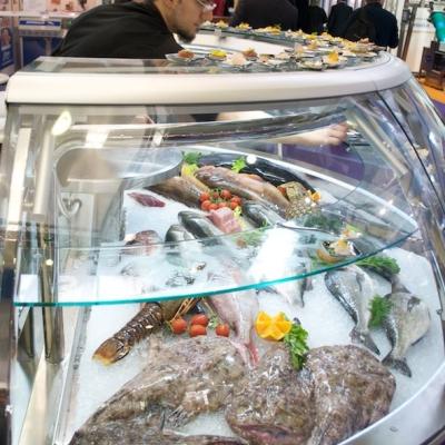 Supreme 180� Fish Display - Acuarios y Viveros de marisco Tecnomar?>