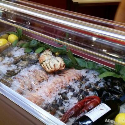 Tuna Restyle - Acuarios y Viveros de marisco Tecnomar?>