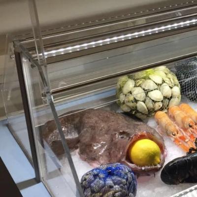 Tuna Restyle - Acuarios y Viveros de marisco Tecnomar?>