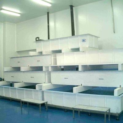 Castellana - Acuarios y Viveros de marisco Tecnomar