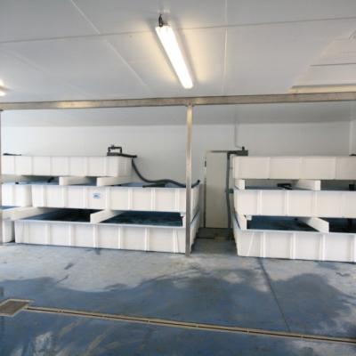 Super Castellana - Acuarios y Viveros de marisco Tecnomar