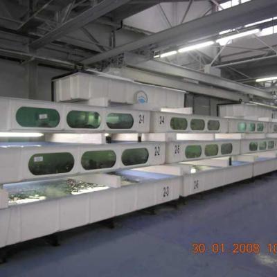 Super Castellana - Acuarios y Viveros de marisco Tecnomar