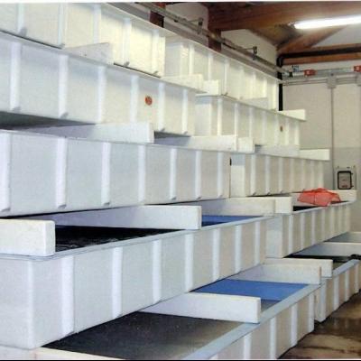 Super Castellana - Acuarios y Viveros de marisco Tecnomar