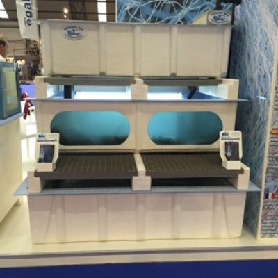 Mini-Castellana - Acuarios y Viveros de marisco Tecnomar?>