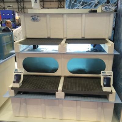 Mini-Castellana - Acuarios y Viveros de marisco Tecnomar?>