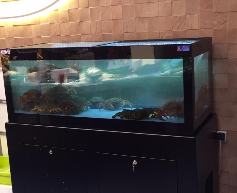 Vivero_Mercury_VTR_MercadoJam_0 - Acuarios y Viveros de marisco Tecnomar