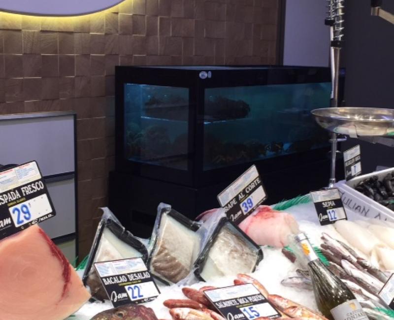 Vivero_Mercury_VTR_MercadoJam_2 - Acuarios y Viveros de marisco Tecnomar