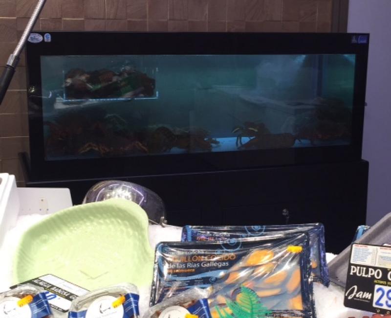 Vivero_Mercury_VTR_MercadoJam_3 - Acuarios y Viveros de marisco Tecnomar