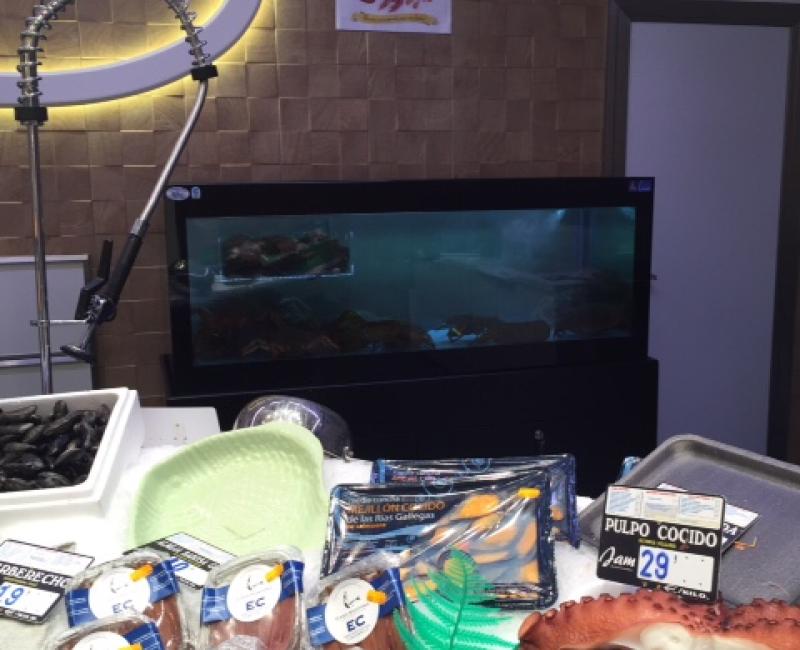 Vivero_Mercury_VTR_MercadoJam_4 - Acuarios y Viveros de marisco Tecnomar