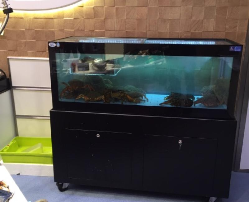 Vivero_Mercury_VTR_MercadoJam_5 - Acuarios y Viveros de marisco Tecnomar