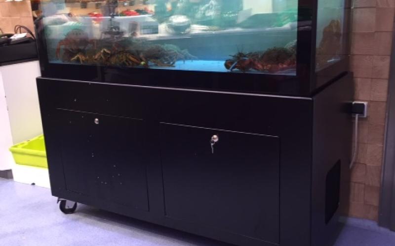 Vivero_Mercury_VTR_MercadoJam_6 - Acuarios y Viveros de marisco Tecnomar