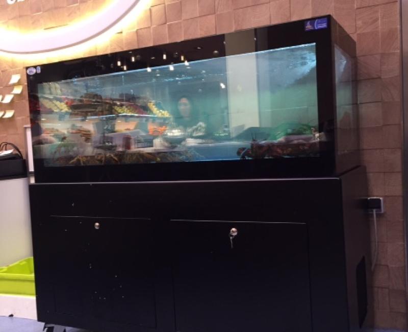 Vivero_Mercury_VTR_MercadoJam_7 - Acuarios y Viveros de marisco Tecnomar