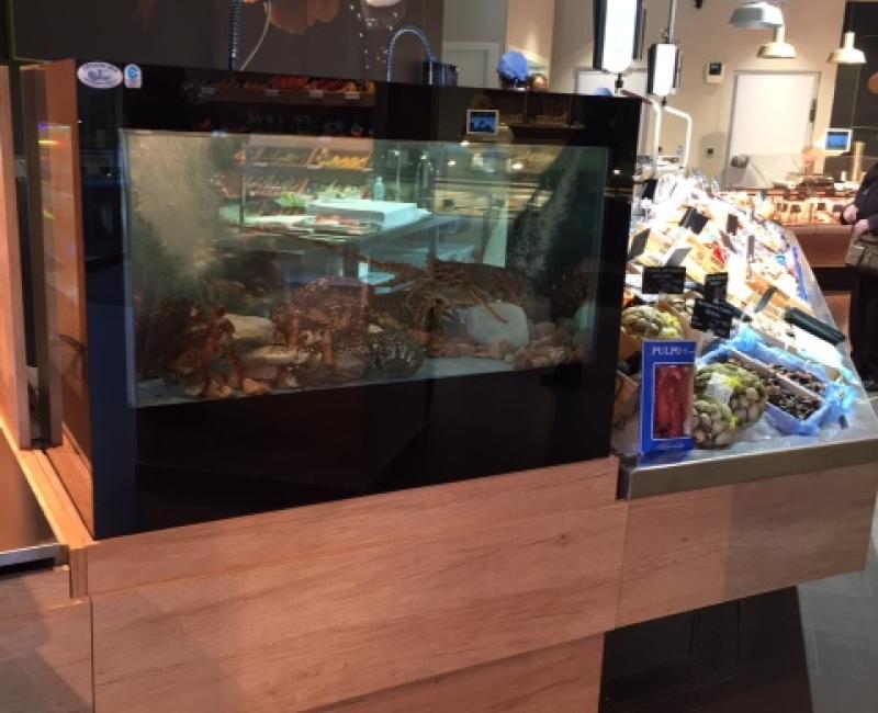 Vivero_de_crustaceos_Modelo_Acquatecno_2 - Acuarios y Viveros de marisco Tecnomar