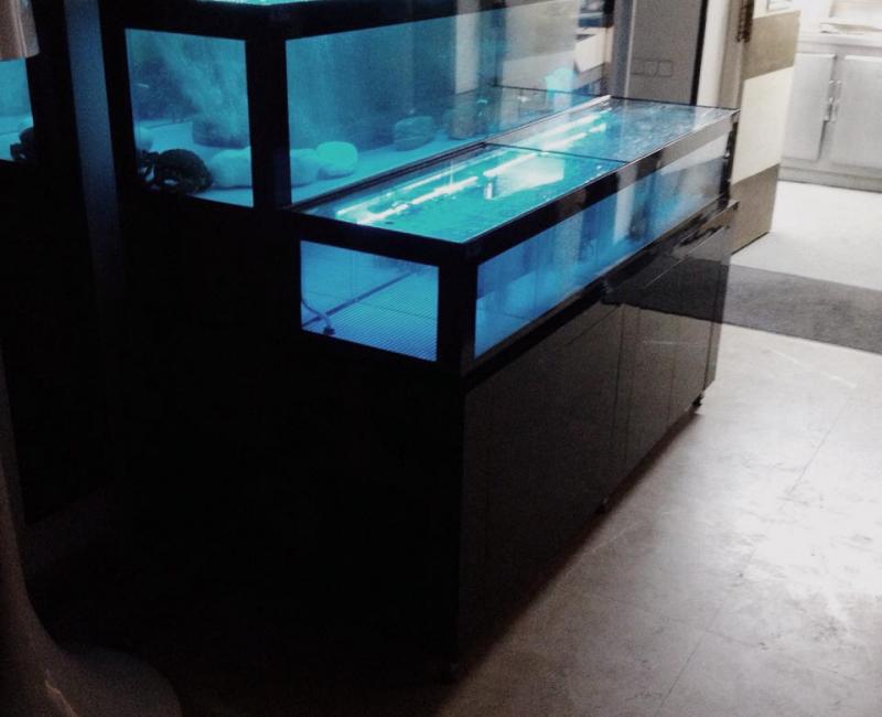 Vivero_marisco_Revolution_Negro_1 - Acuarios y Viveros de marisco Tecnomar