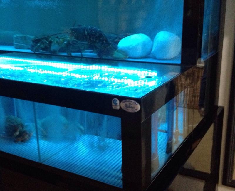 Vivero_marisco_Revolution_Negro_2 - Acuarios y Viveros de marisco Tecnomar