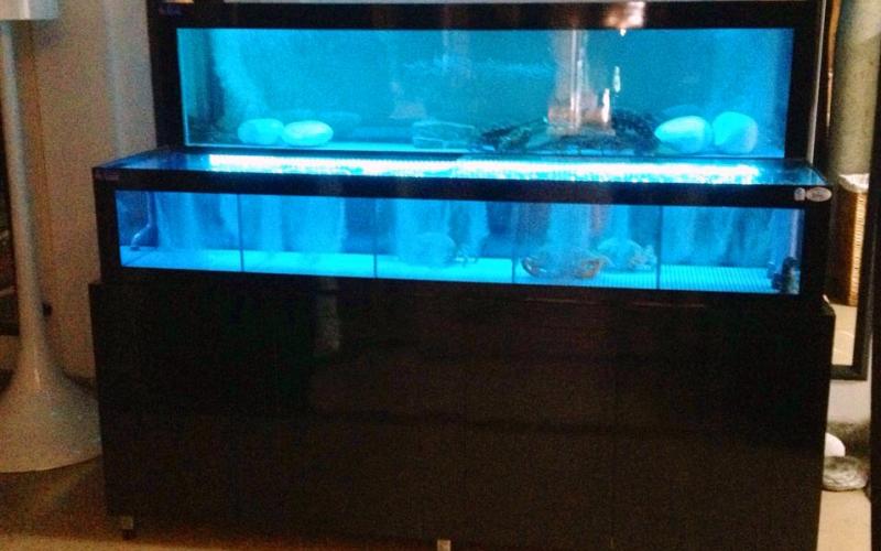 Vivero_marisco_Revolution_Negro_0 - Acuarios y Viveros de marisco Tecnomar