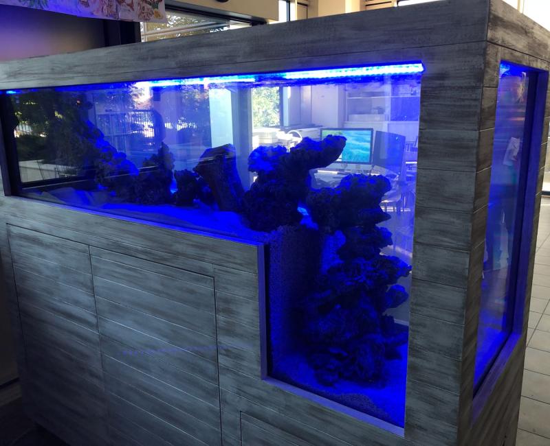 VIVEROS DE MEDIDAS ESPECIALES  - Acuarios y Viveros de marisco Tecnomar