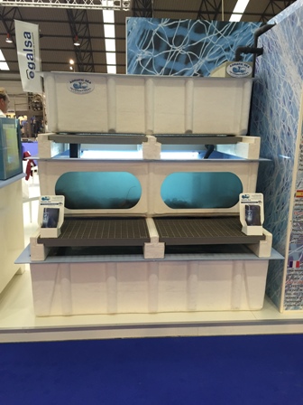 Mayoristas, Mayoristas