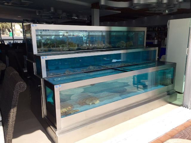 Medidas especiales, Medidas especiales