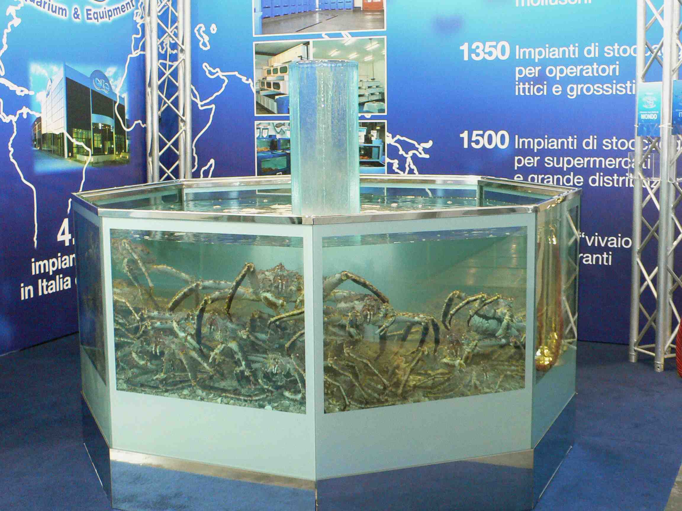 Medidas especiales, Medidas especiales